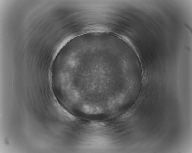 X0000102231243200808221300