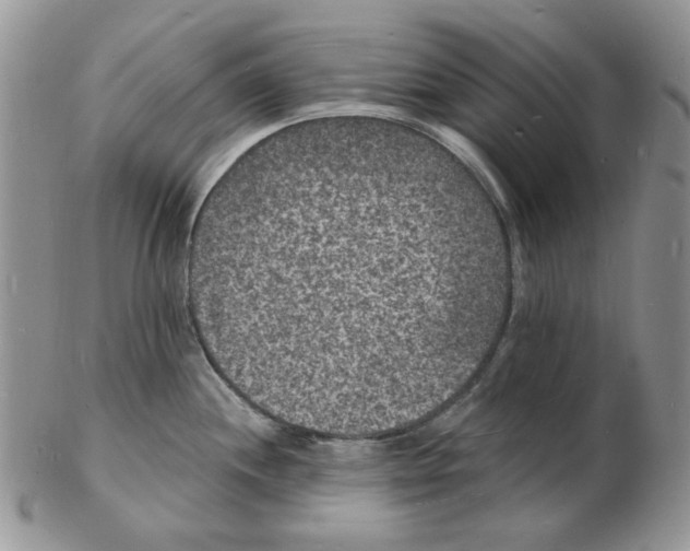 X0000102231244200808221301