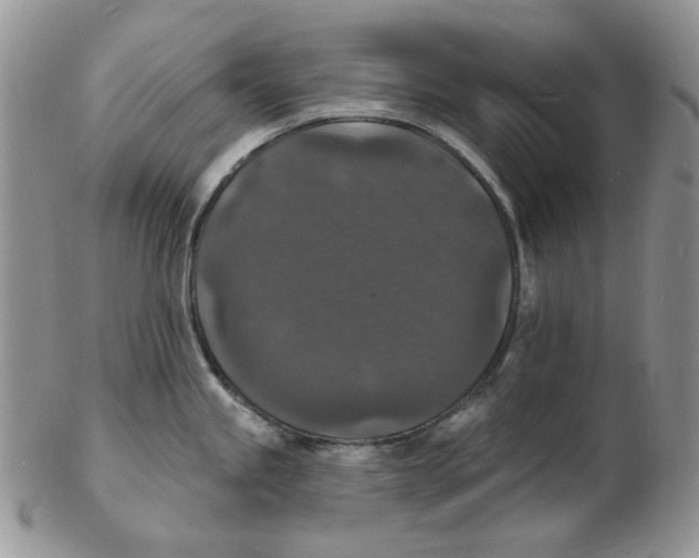 X0000102231245200808221301