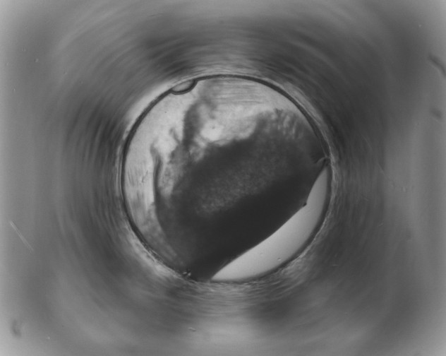 X0000102231246200808221301