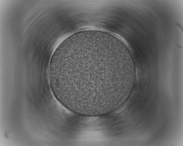 X0000102231247200808221301