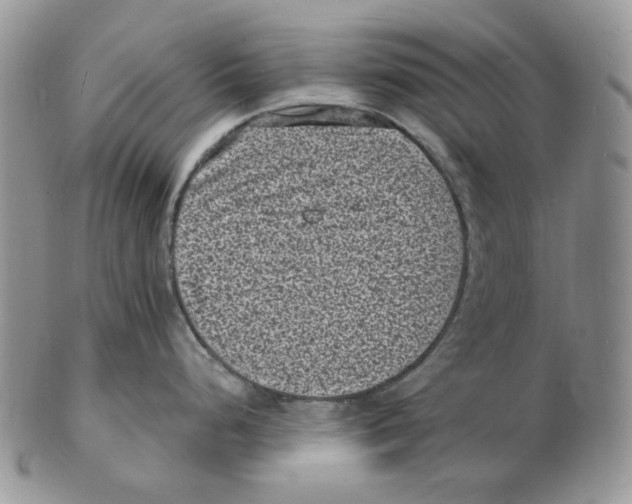 X0000102231248200808221301