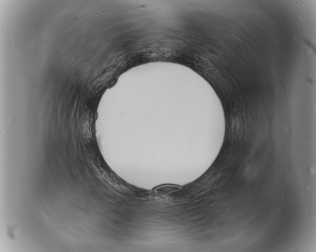 X0000102231250200808221300