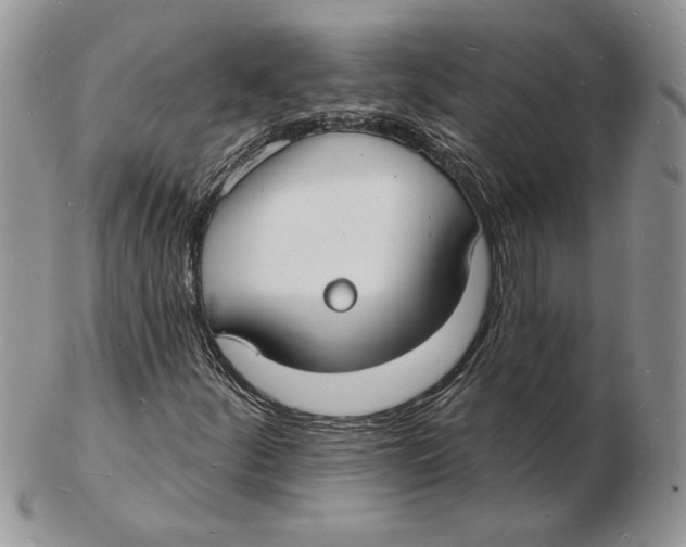 X0000102231252200808221300