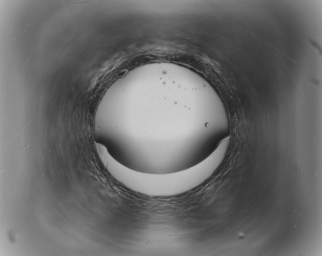 X0000102231253200808221300