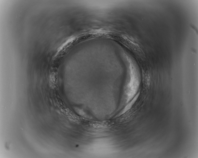 X0000102231254200808221300