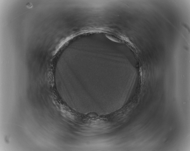 X0000102231256200808221300