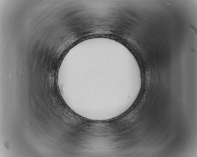X0000102231257200808221300