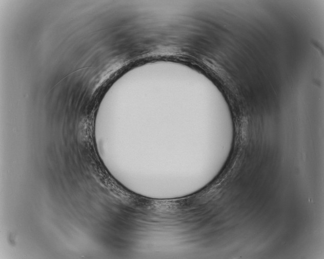 X0000102231258200808221300