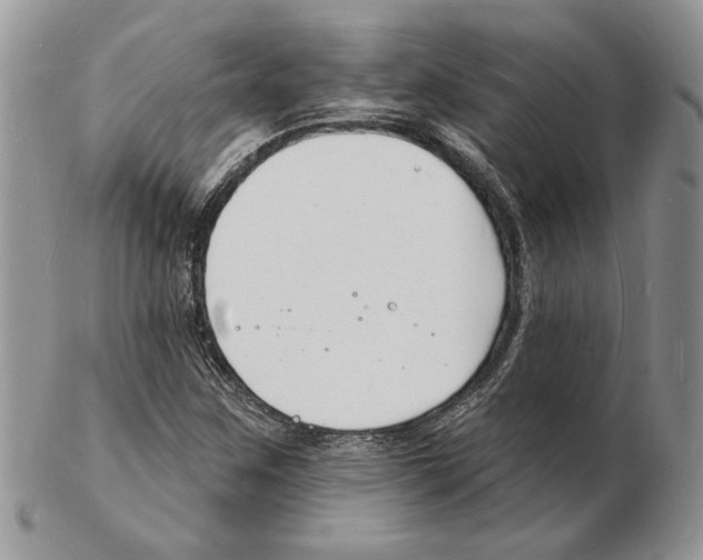 X0000102231259200808221300