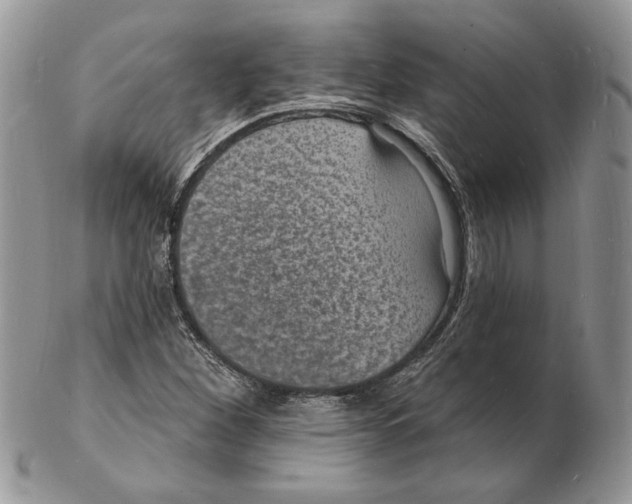 X0000102231260200808221300