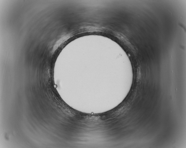X0000102231261200808221300