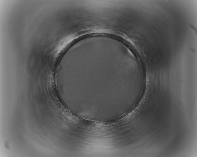 X0000102231263200808221300
