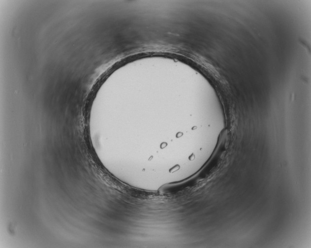 X0000102231264200808221300