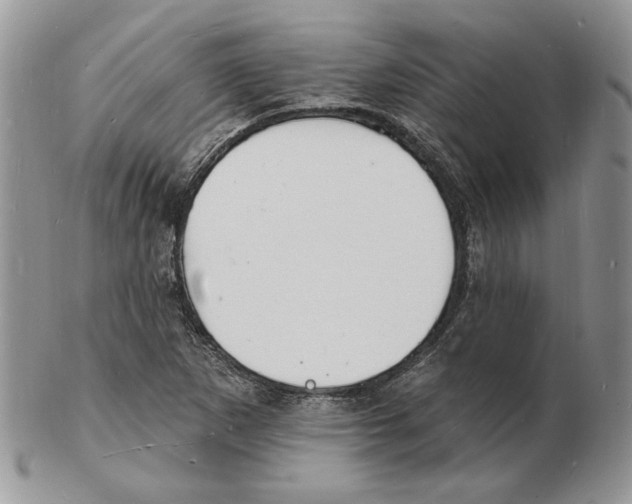 X0000102231265200808221300