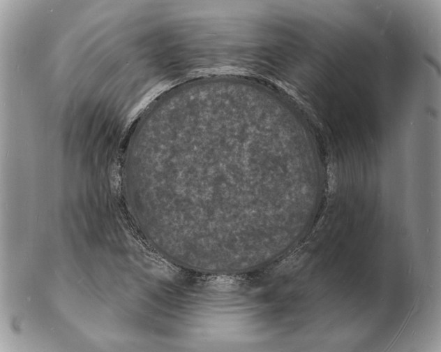 X0000102231266200808221300