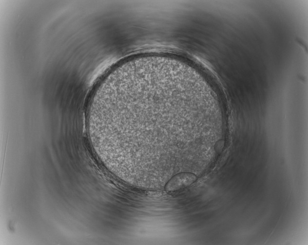 X0000102231267200808221300