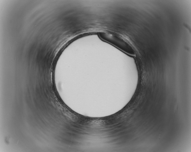 X0000102231268200808221300