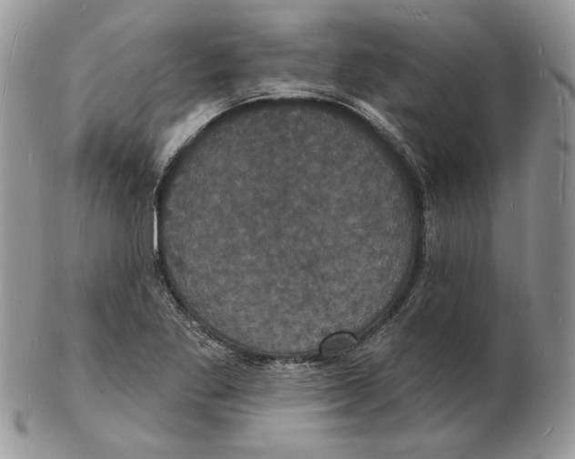 X0000102231269200808221300