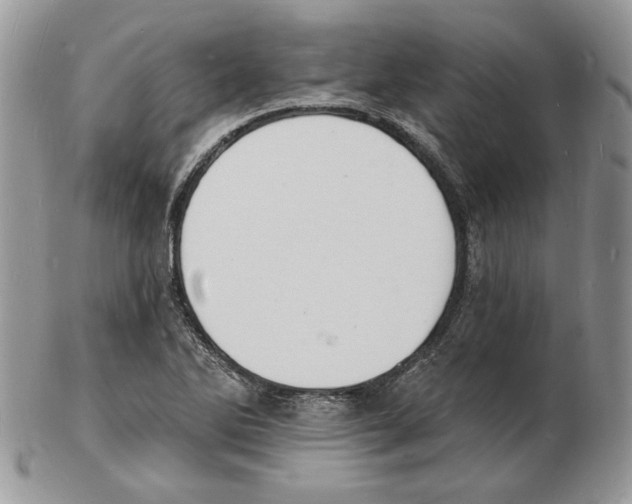 X0000102231270200808221300