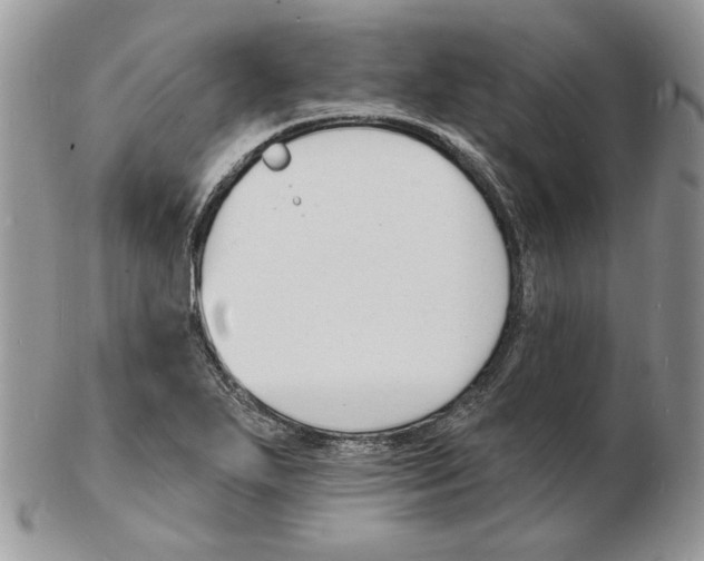 X0000102231271200808221300