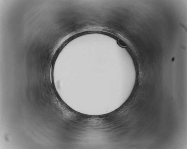 X0000102231272200808221300