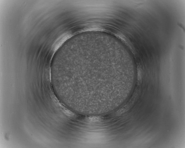 X0000102231274200808221300
