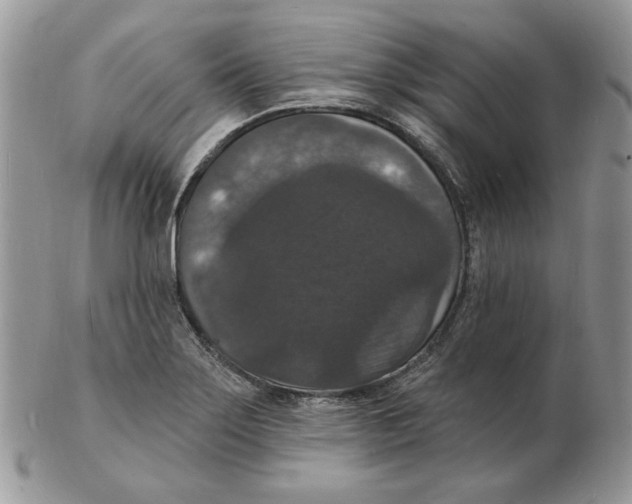 X0000102231275200808221300