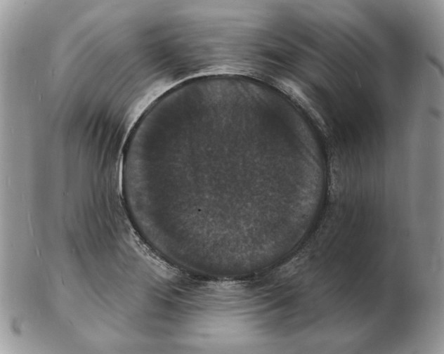 X0000102231276200808221300