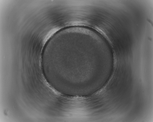 X0000102231277200808221300