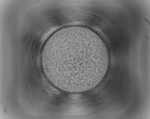 X0000102231278200808221300