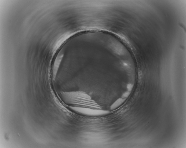 X0000102231279200808221259