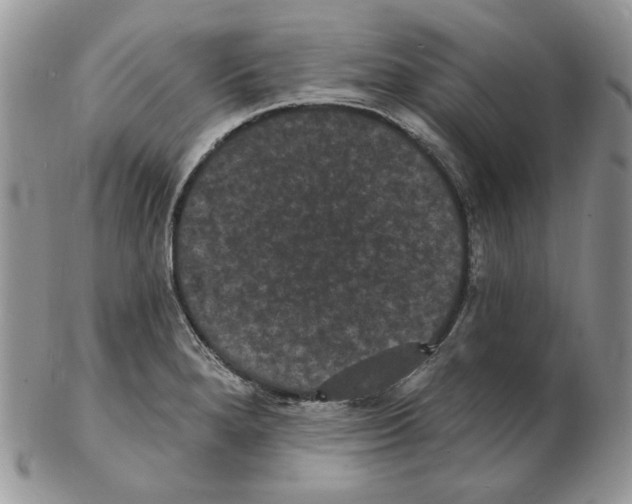 X0000102231280200808221259