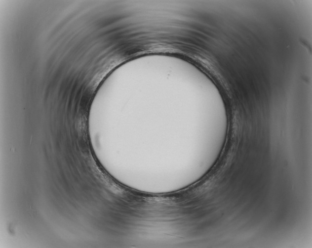 X0000102231281200808221259