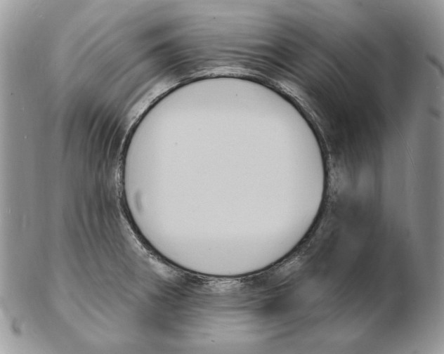 X0000102231282200808221259