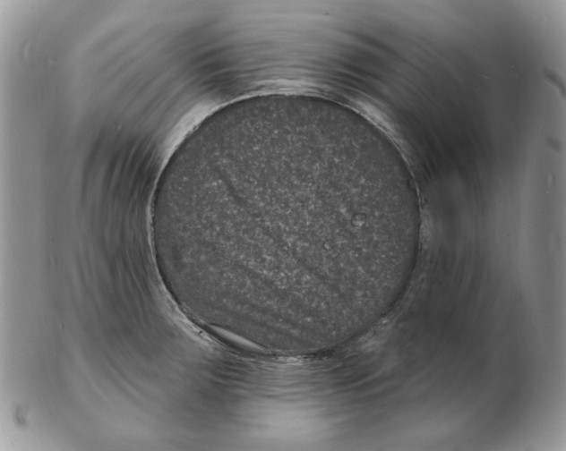X0000102231283200808221259