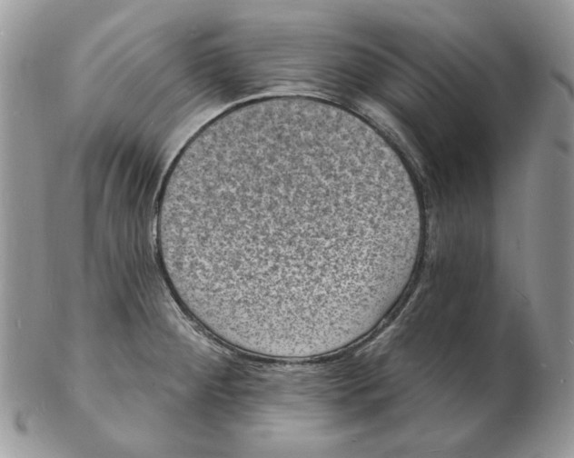 X0000102231284200808221259