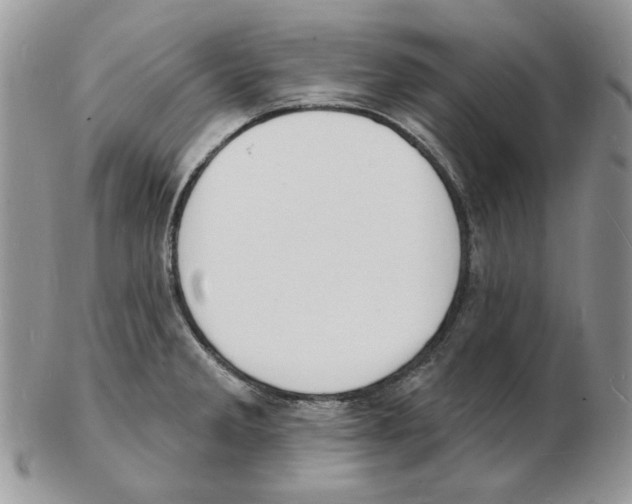X0000102231285200808221259