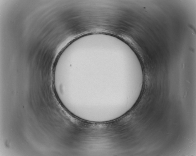 X0000102231286200808221259