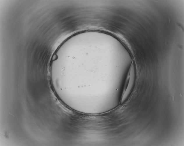 X0000102231287200808221259