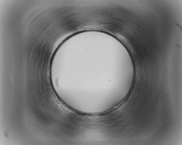 X0000102231288200808221259