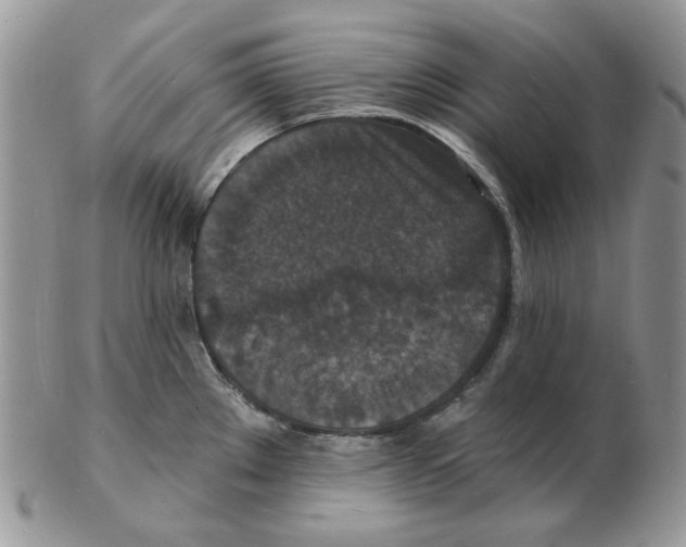 X0000102231289200808221259