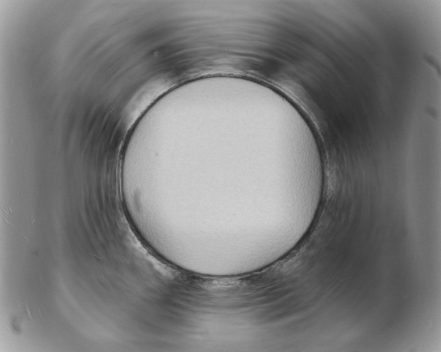 X0000102231290200808221259