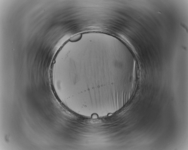 X0000102231291200808221259