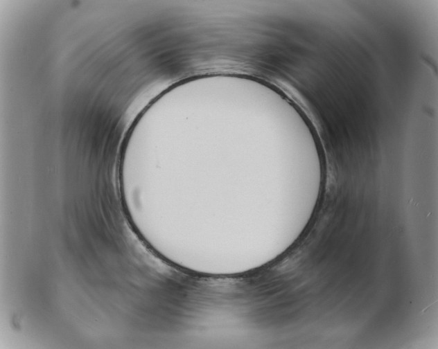 X0000102231293200808221259
