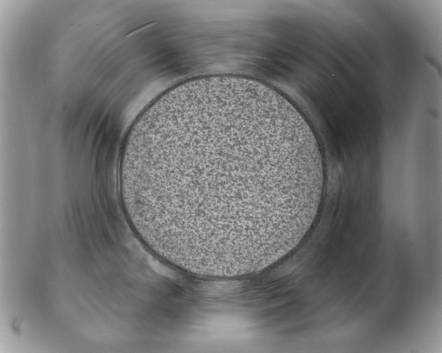 X0000102231294200808221259
