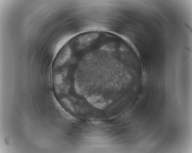 X0000102231295200808221259