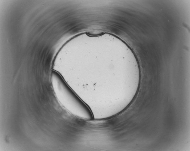 X0000102231296200808221259