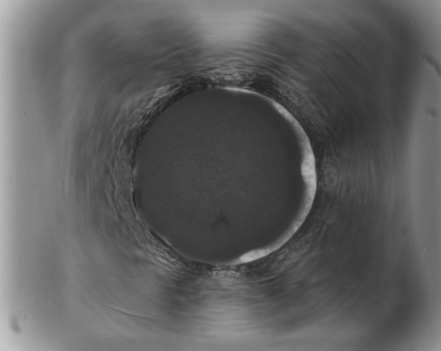 X0000102231297200808221259