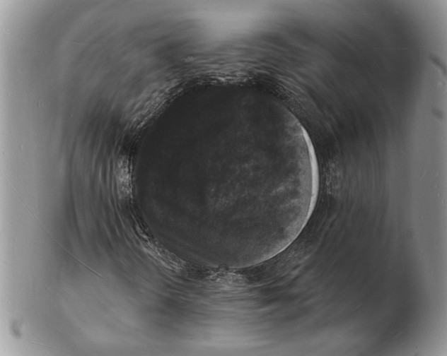 X0000102231298200808221259